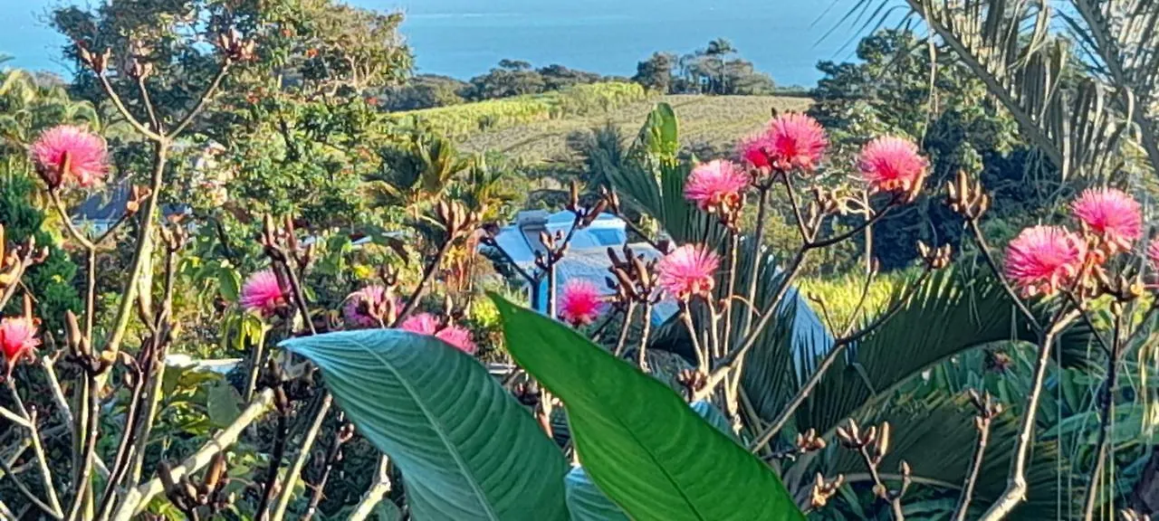 Gwadakaz Villa Sainte-Rose 0*,  Guadeloupe
